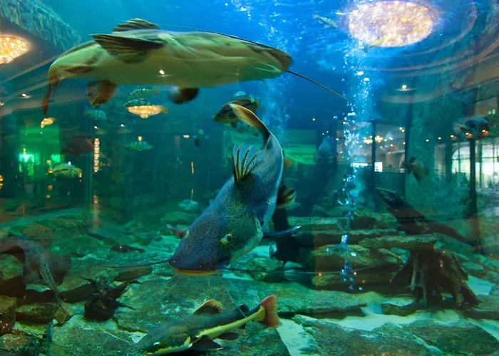 卡尔帕奇佳乐比思琪酒店